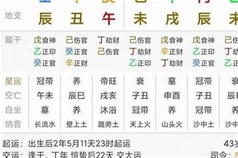 金色金魚 毛主席八字